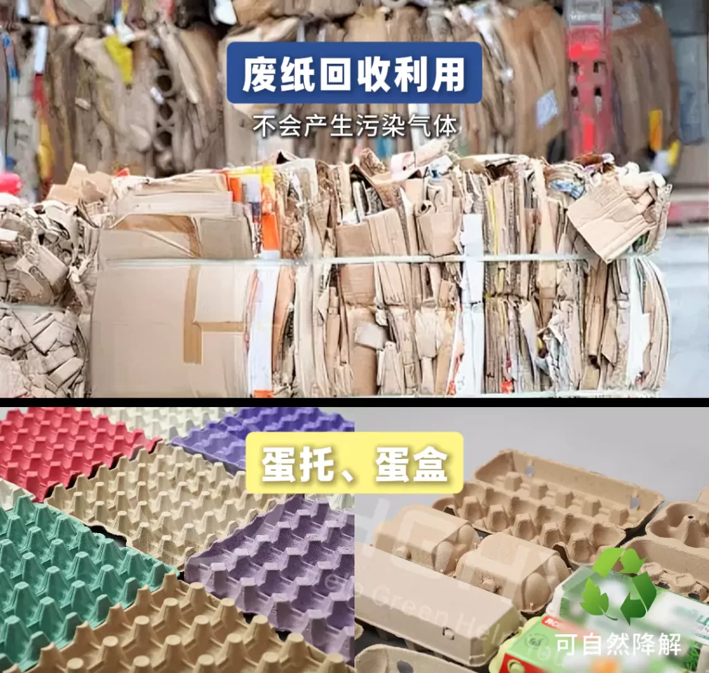 2025 年jy体育平台迎爆发期!政策 + 市场双轮驱动,绿色包装成产业新引擎插图4 2025 年jy体育平台迎爆发期!政策 + 市场双轮驱动,绿色包装成产业新引擎插图4