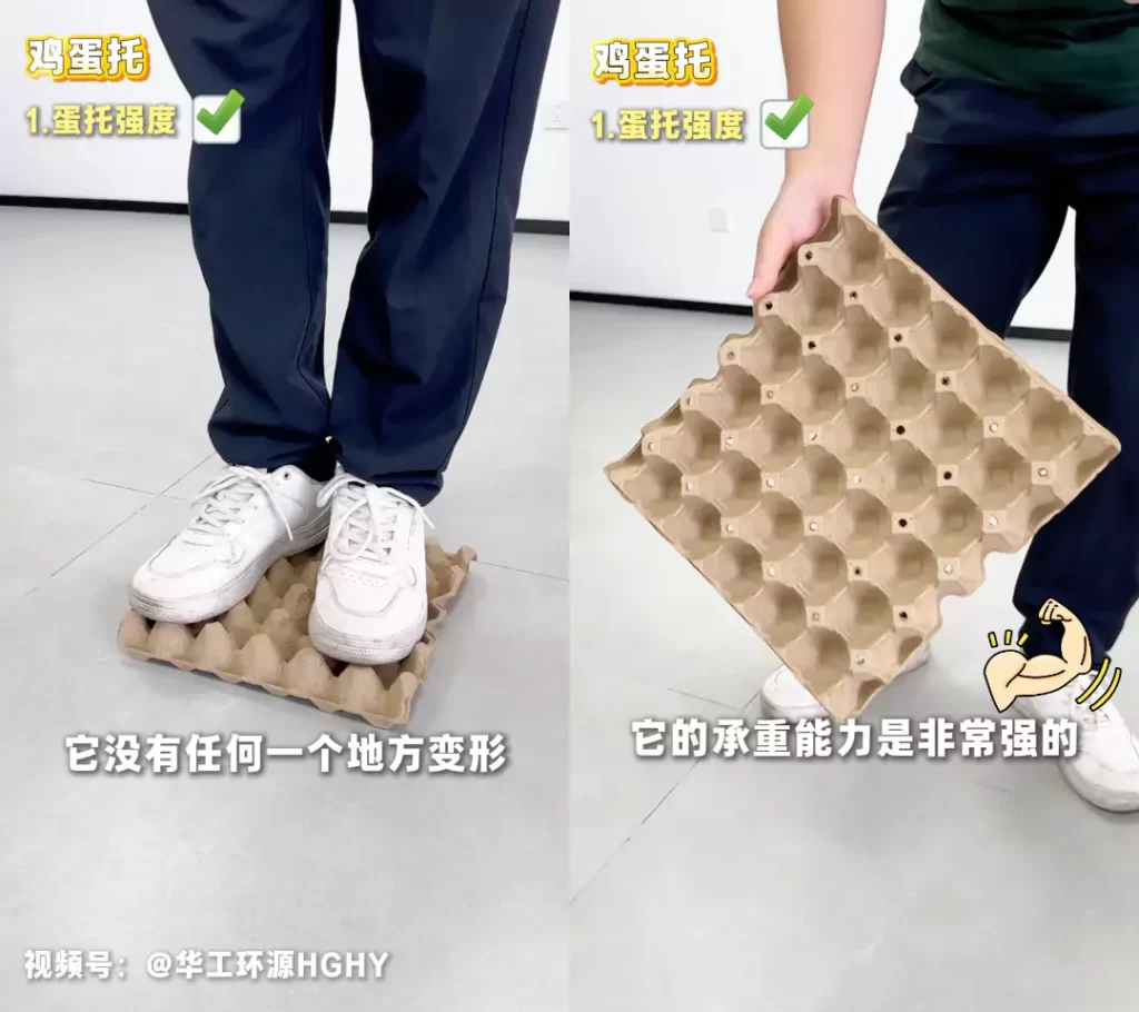 工艺赋能品质:jy体育平台鸡蛋托的场景化革新插图2 工艺赋能品质:jy体育平台鸡蛋托的场景化革新插图2