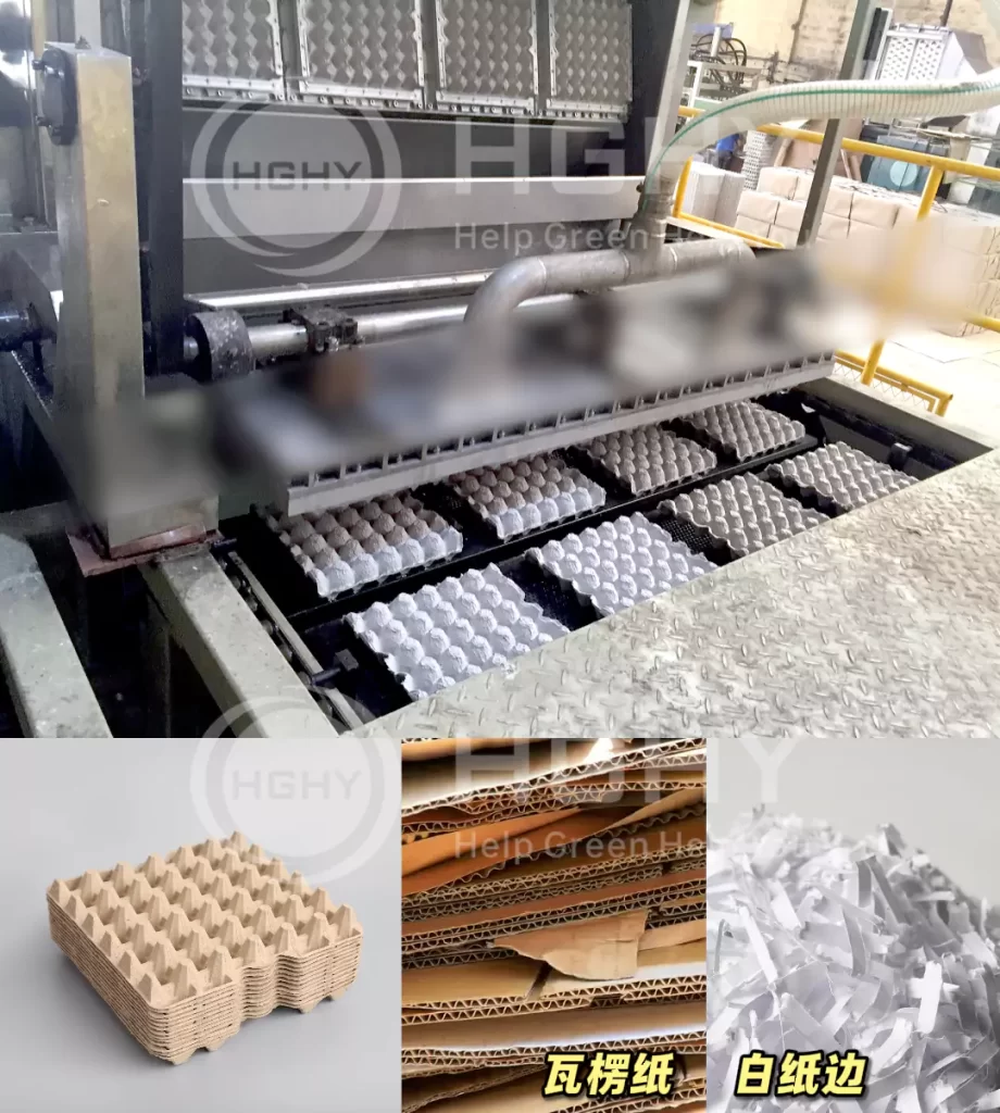 工艺赋能品质:jy体育平台鸡蛋托的场景化革新插图3 工艺赋能品质:jy体育平台鸡蛋托的场景化革新插图3