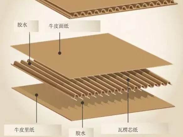 3分钟读懂jy体育平台!与瓦楞纸箱的优劣对决插图3 3分钟读懂jy体育平台!与瓦楞纸箱的优劣对决插图3