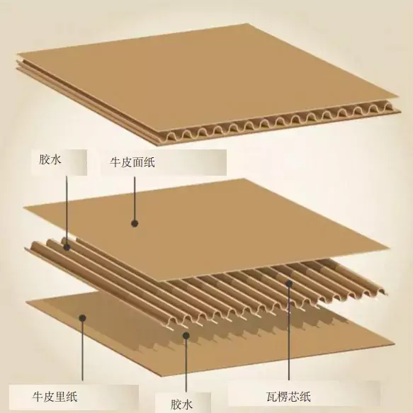 3分钟读懂jy体育平台!与瓦楞纸箱的优劣对决插图1 3分钟读懂jy体育平台!与瓦楞纸箱的优劣对决插图1