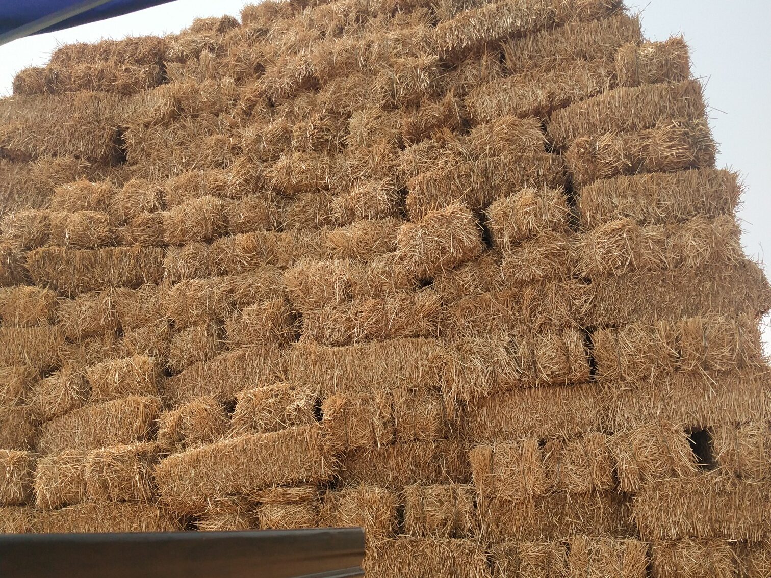常见的乐动在线官网原料特点分析插图2